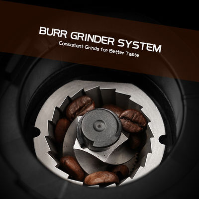 Pequeño Burr Coffee Grinder Adjustable cónico 19 fabricantes de café comerciales de determinación del café express