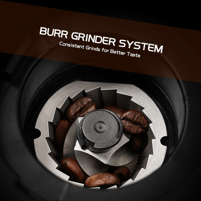 amoladora de café portátil eléctrica de encargo 150g Removable Upper Burr 19 selecciones de la rutina